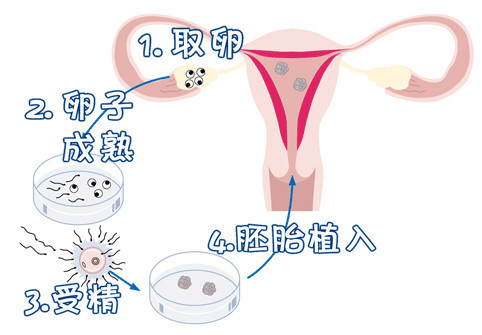 主任