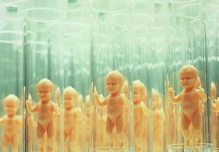 专家